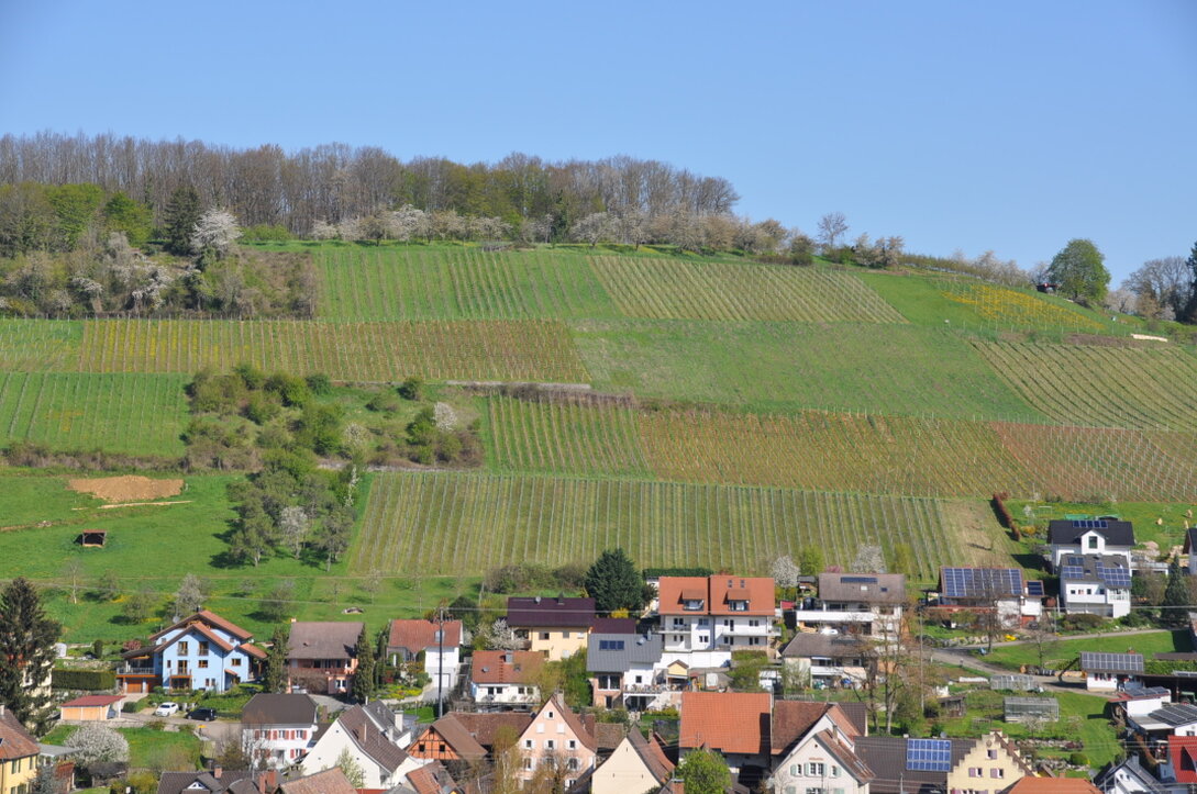 Blick über Häuser im Markgräflerland